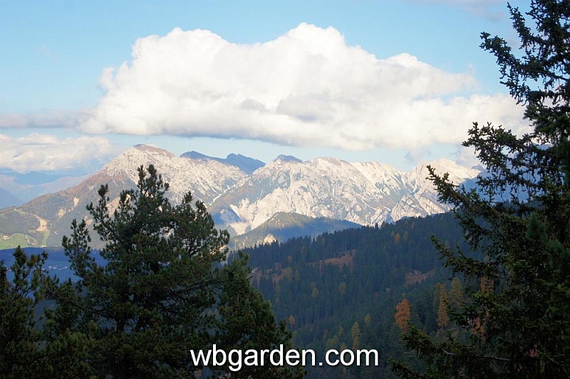 wbgarden alps 51.JPG